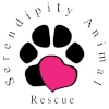 Serendipity Animal Rescue