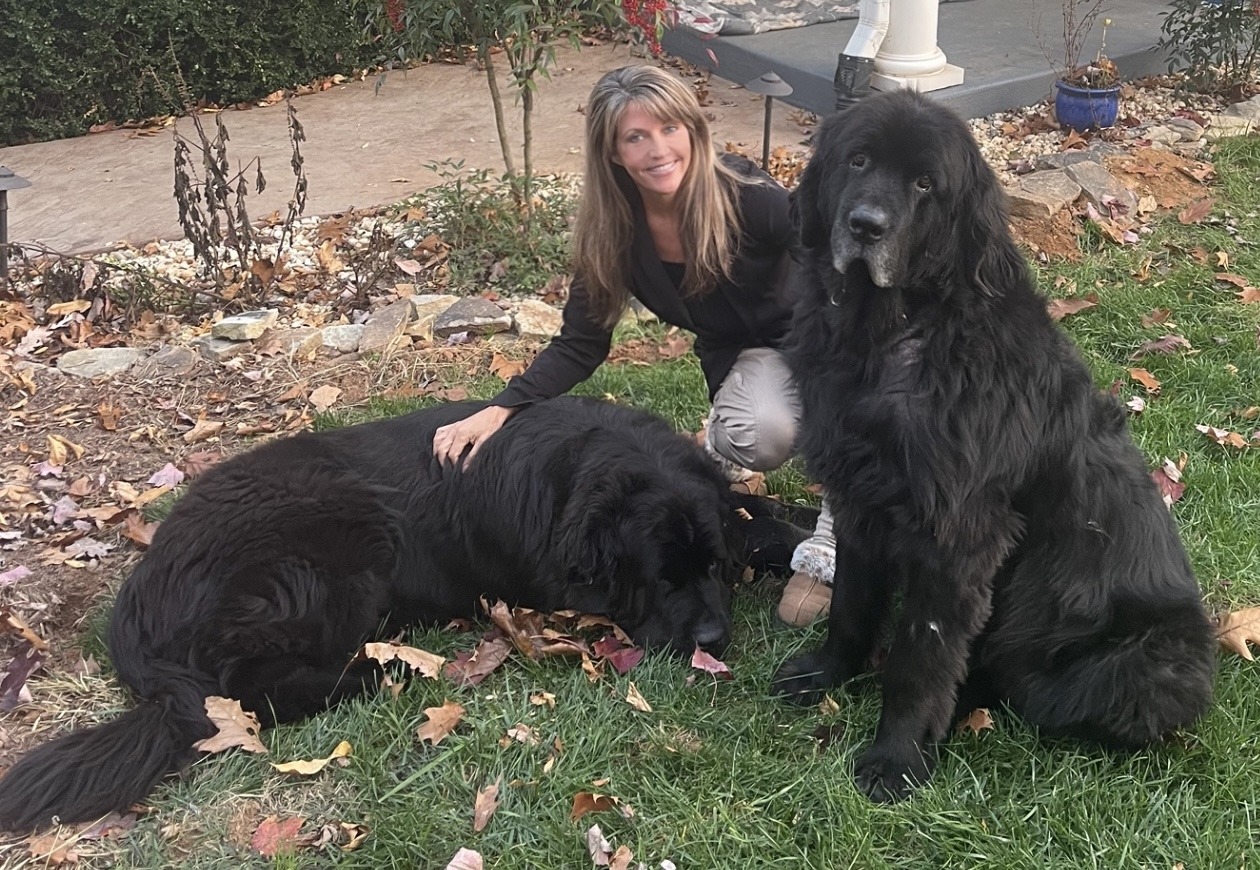 Tami Coughlin and her Newfoundland dogs
