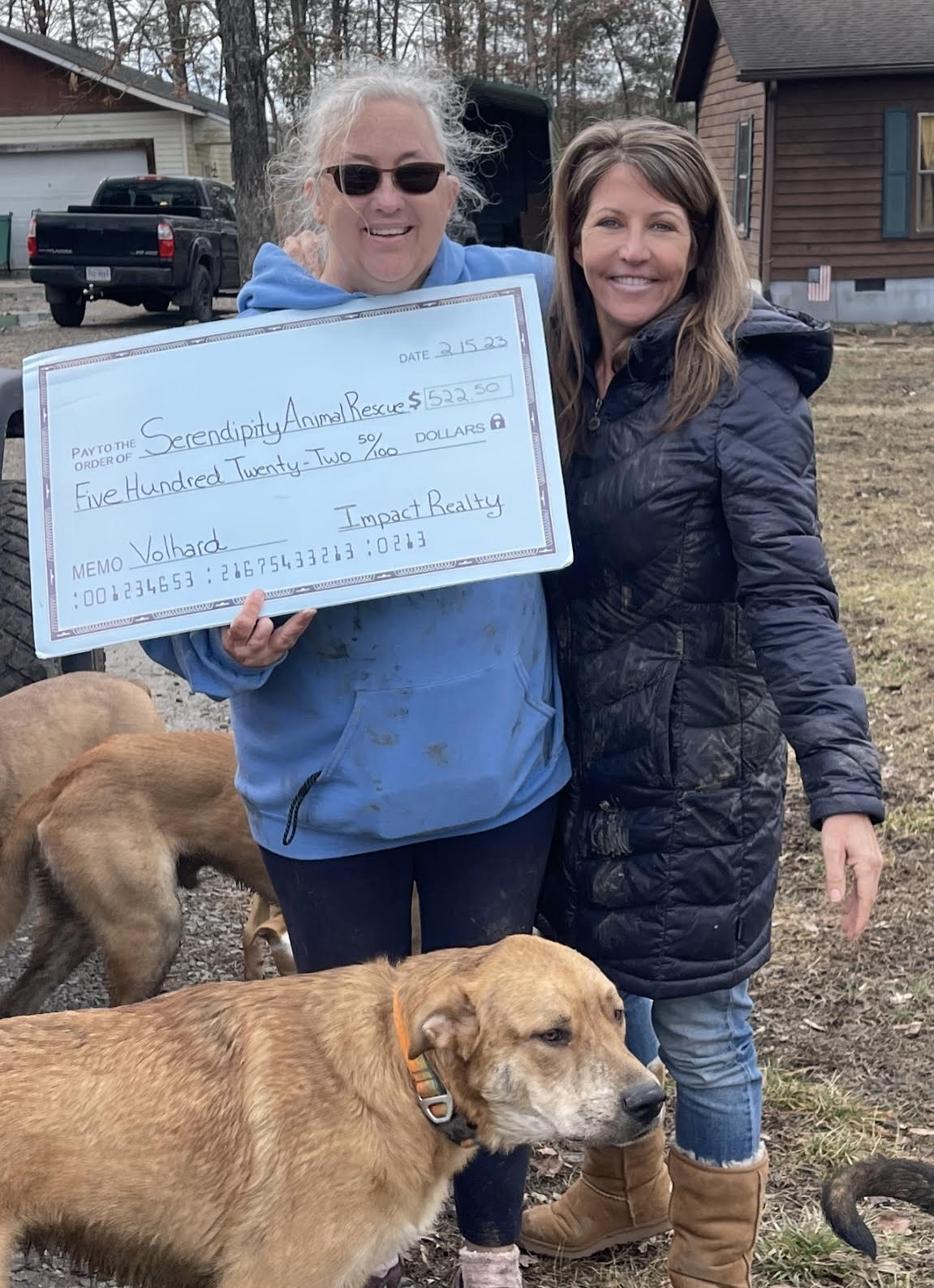 Impact Realty charity donation to Serendipity Animal Rescue